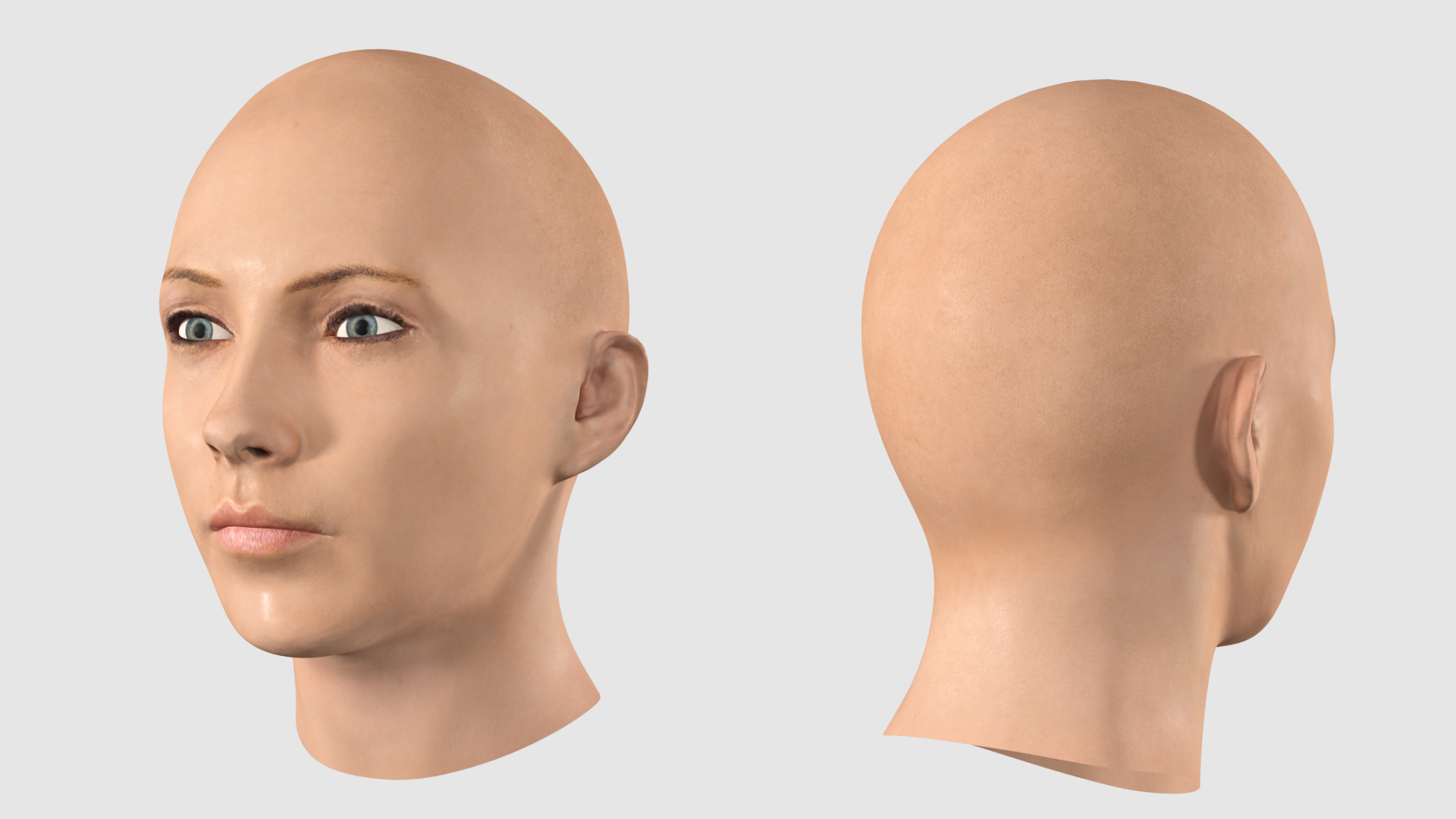 3D Female Bald Head
