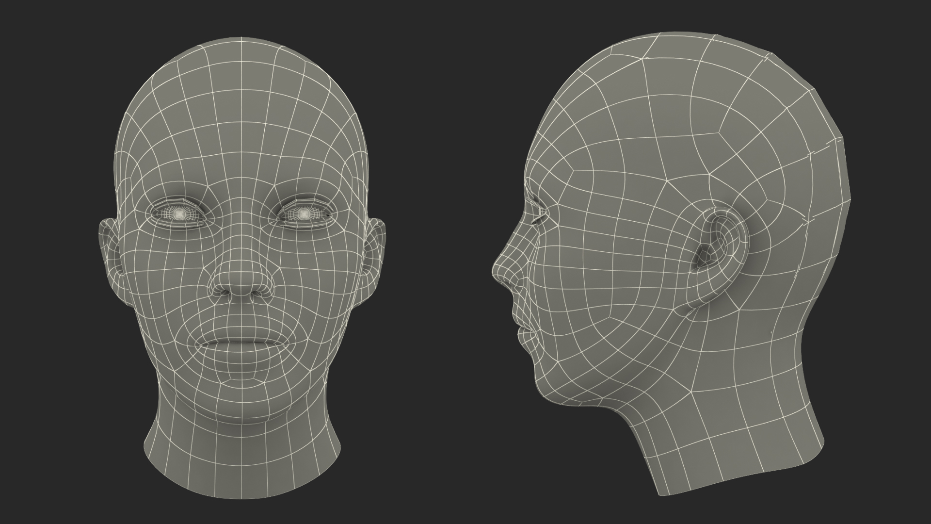 3D Female Bald Head
