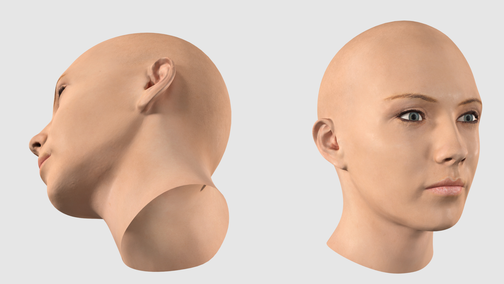 3D Female Bald Head