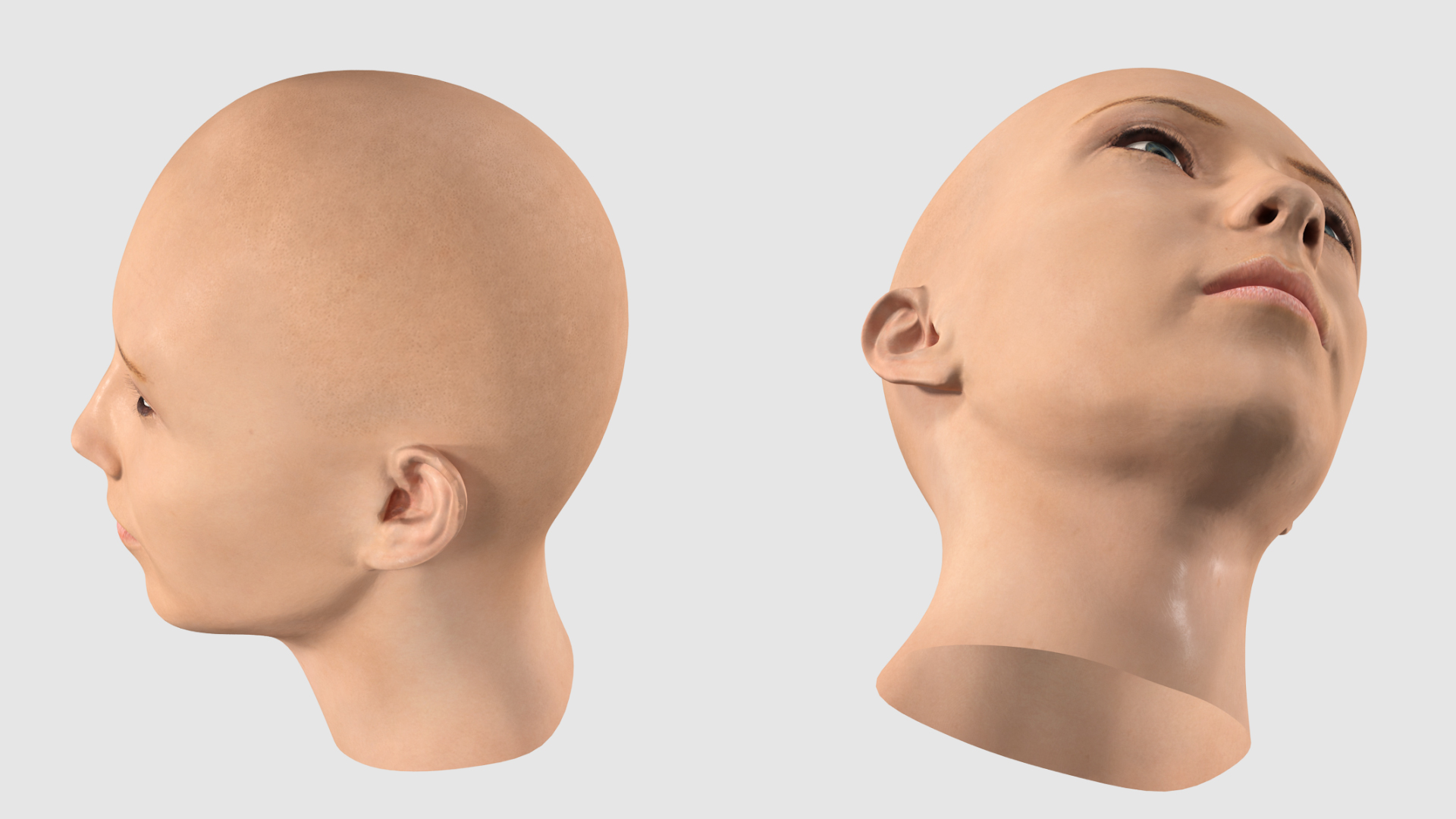 3D Female Bald Head