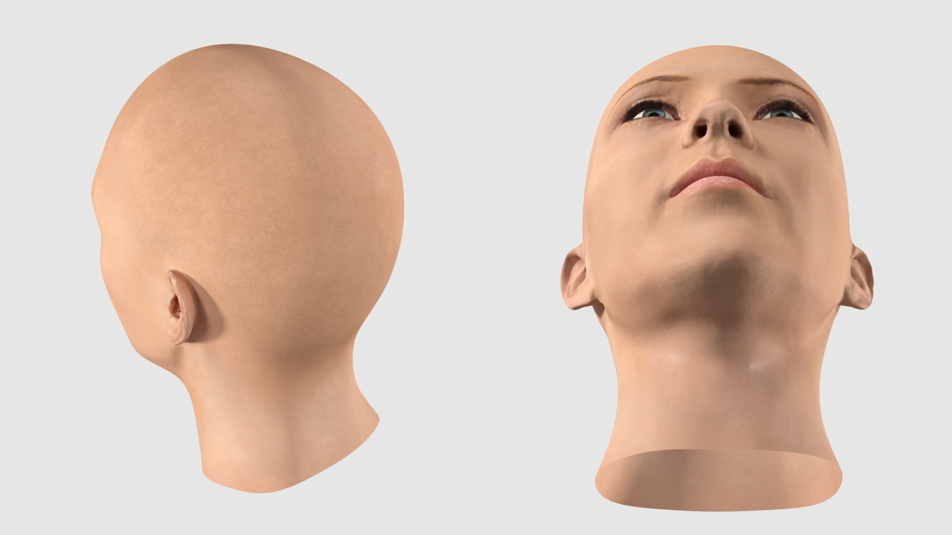 3D Female Bald Head