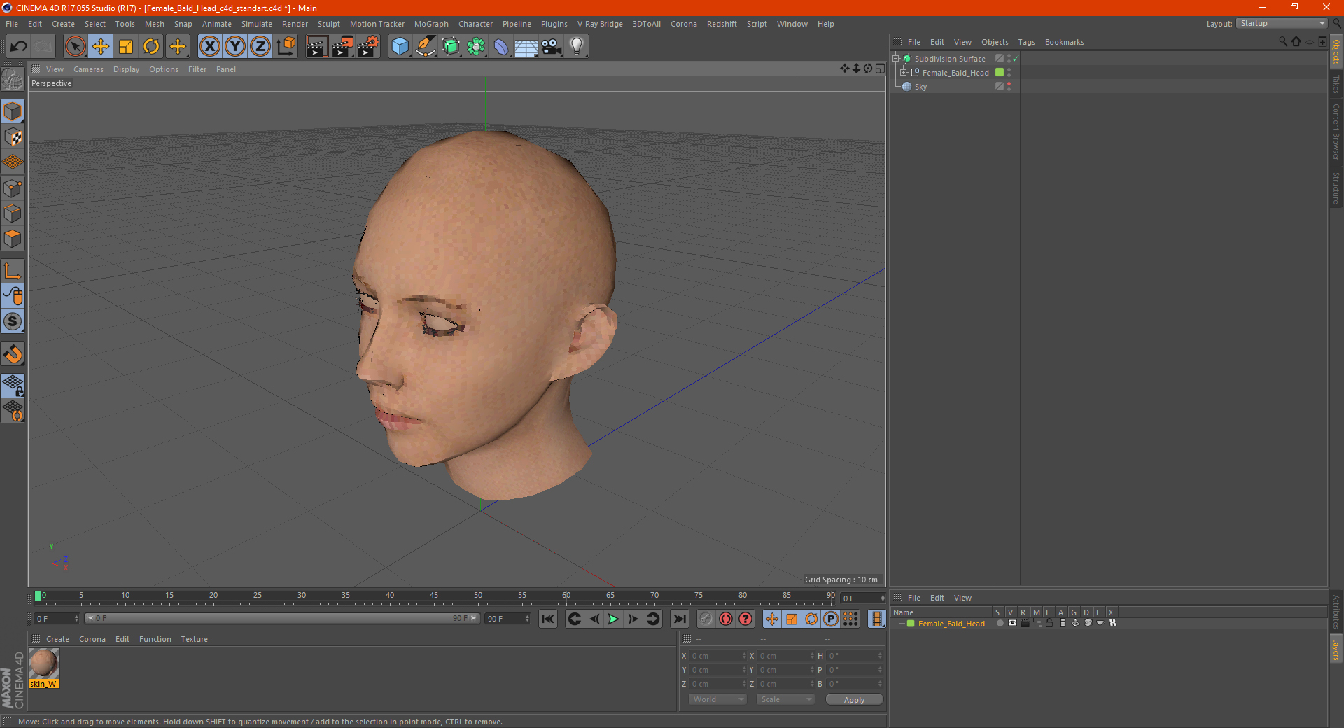 3D Female Bald Head