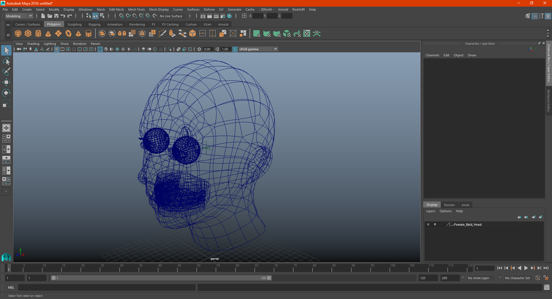 3D Female Bald Head