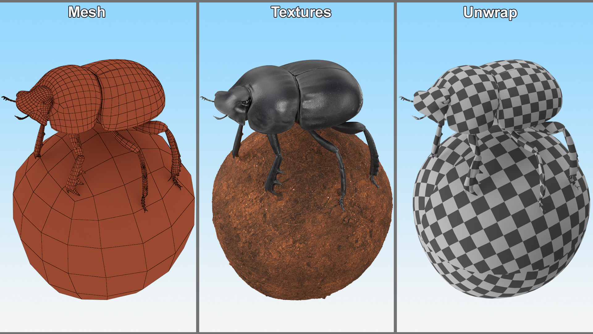 Dung Beetle on Dung Ball 3D model