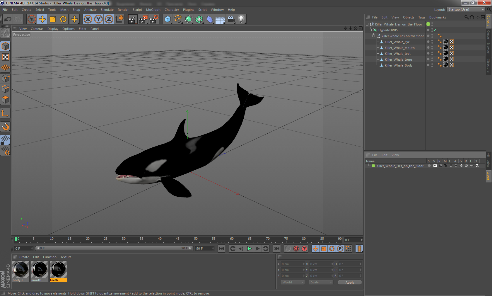 3D model Killer Whale Lies on the Floor