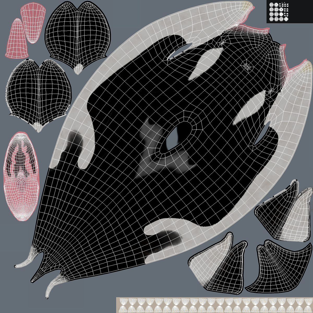 3D model Killer Whale Lies on the Floor