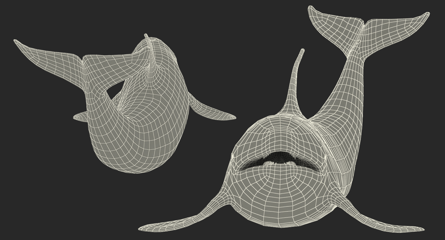 3D model Killer Whale Lies on the Floor