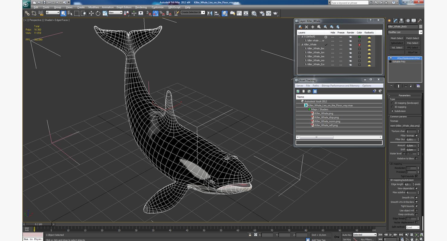 3D model Killer Whale Lies on the Floor