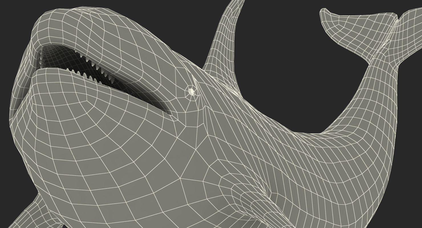 3D model Killer Whale Lies on the Floor