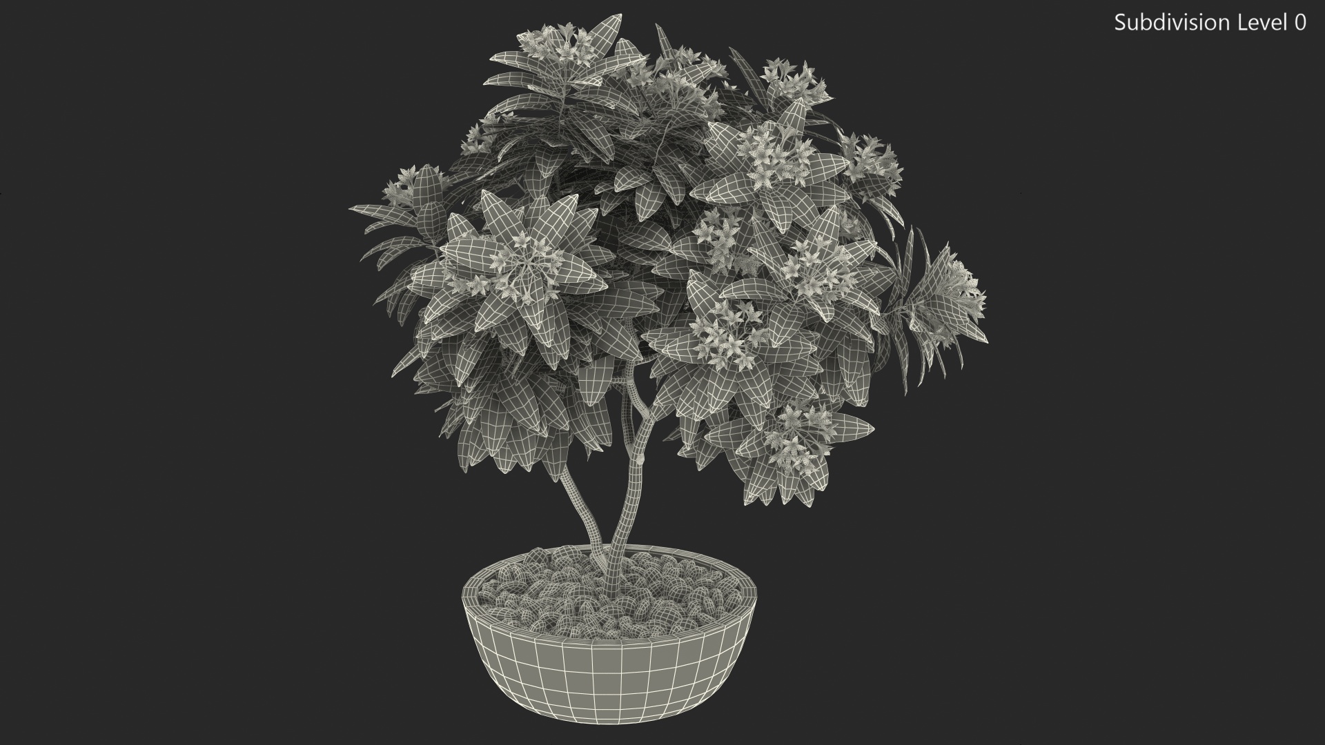 3D Flower Pot Plumeria Red model