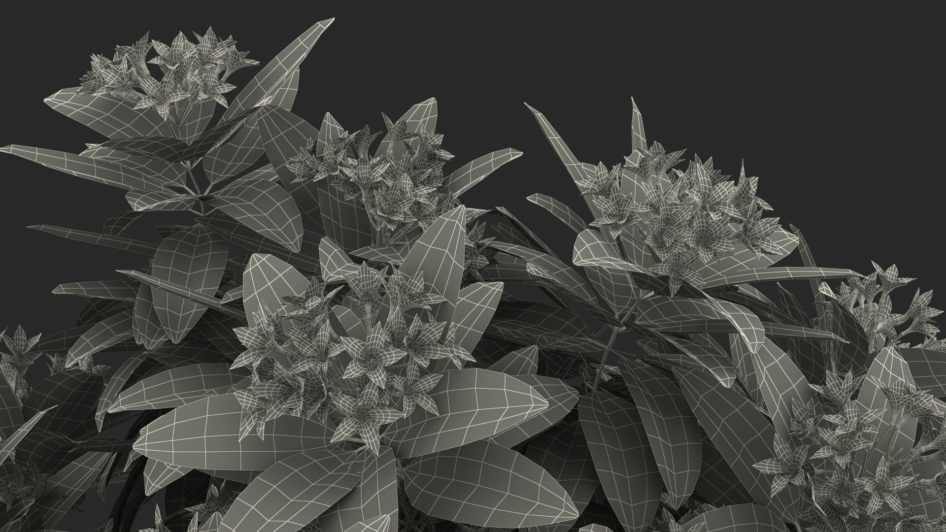 3D Flower Pot Plumeria Red model