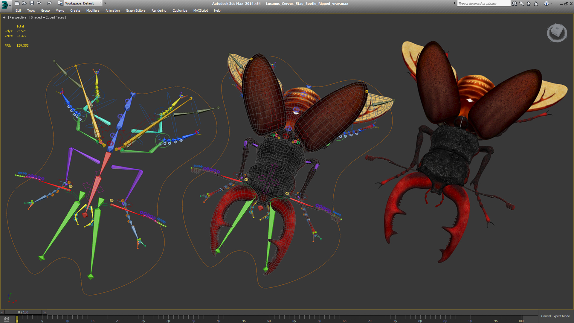 3D Lucanus Cervus Stag Beetle Rigged model