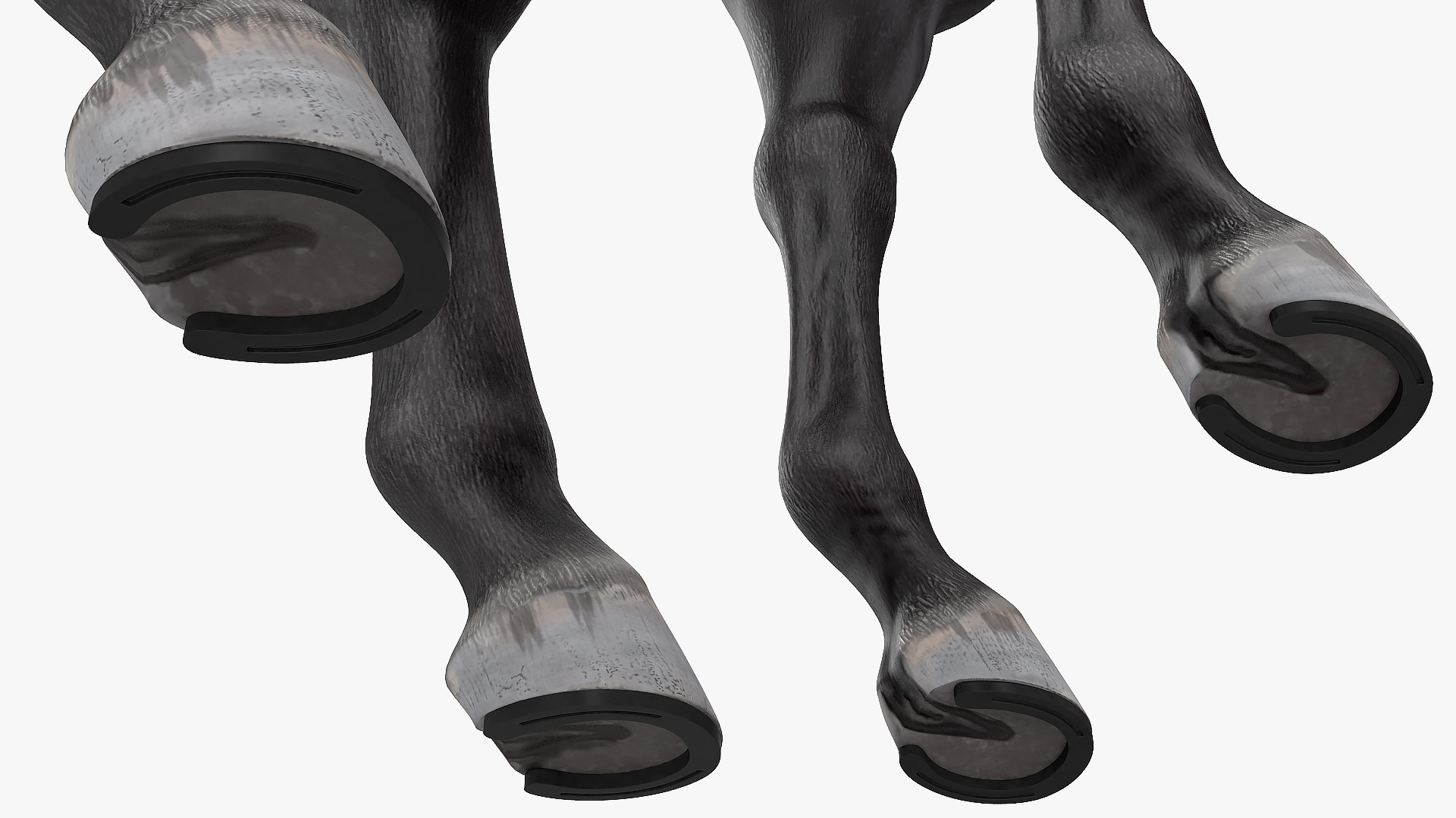 3D Horse Black