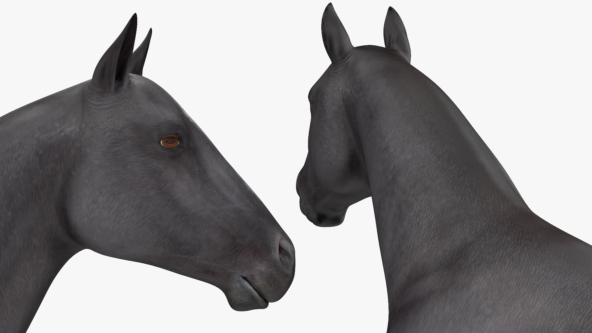3D Horse Black