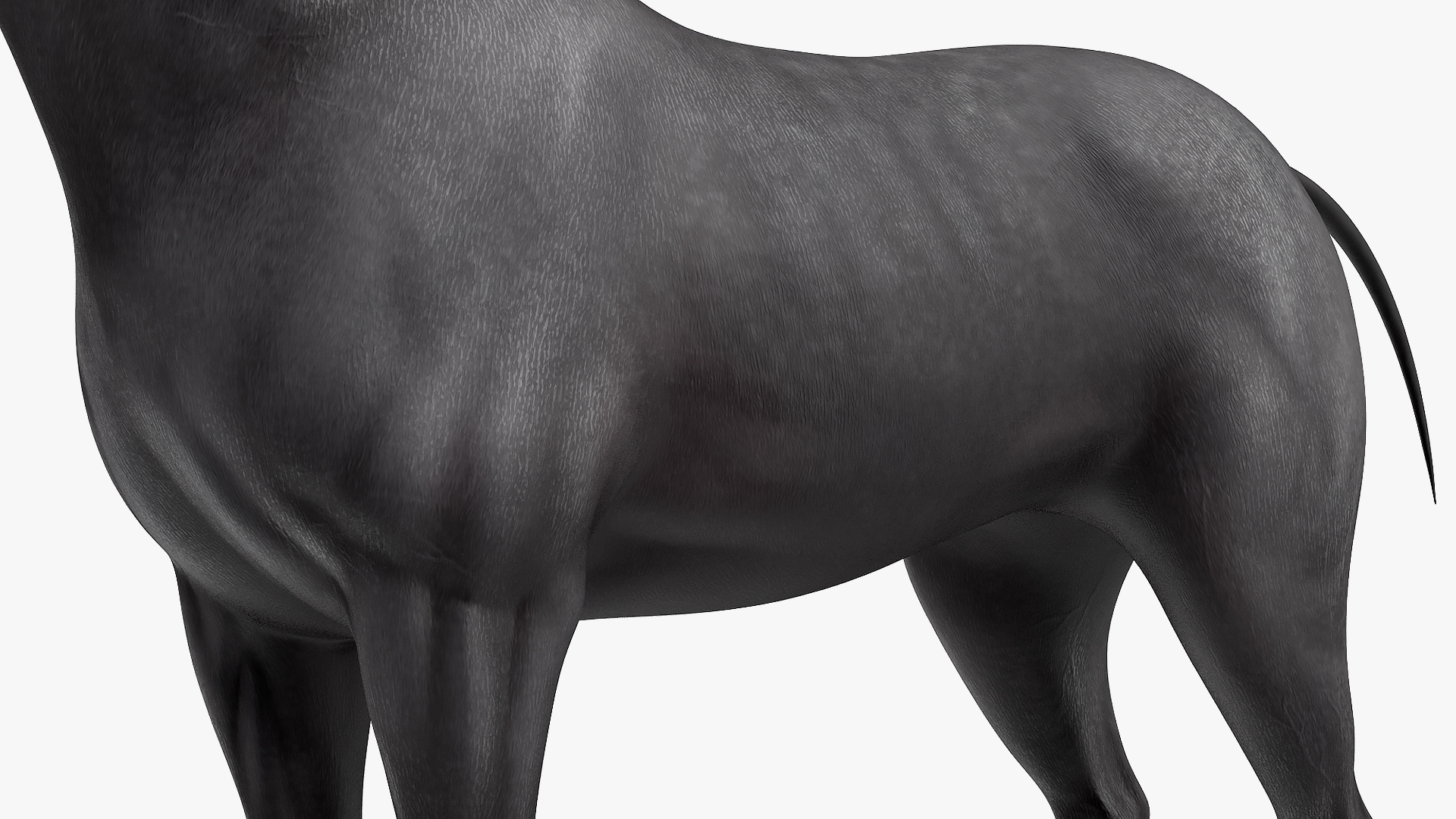 3D Horse Black