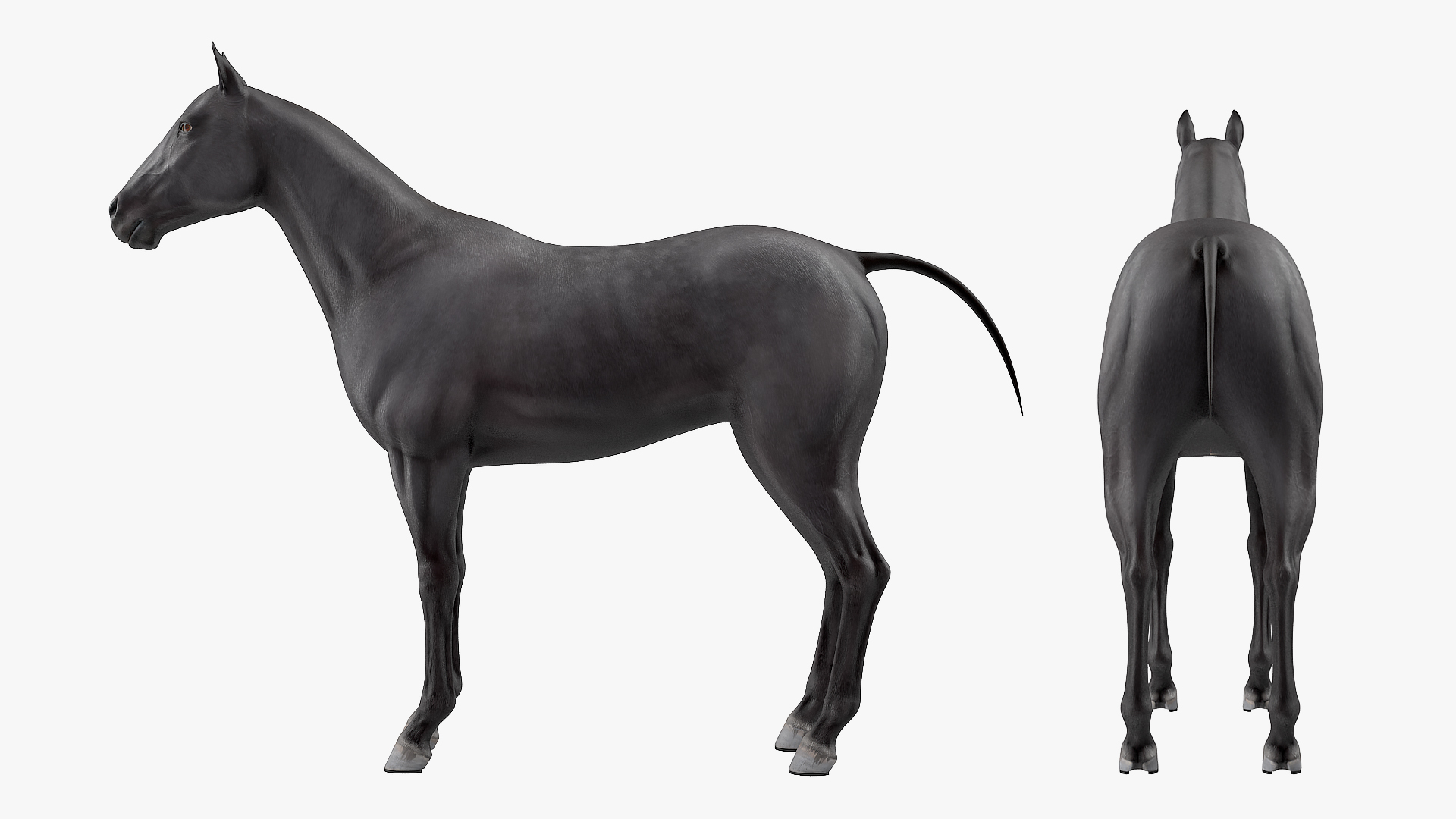 3D Horse Black