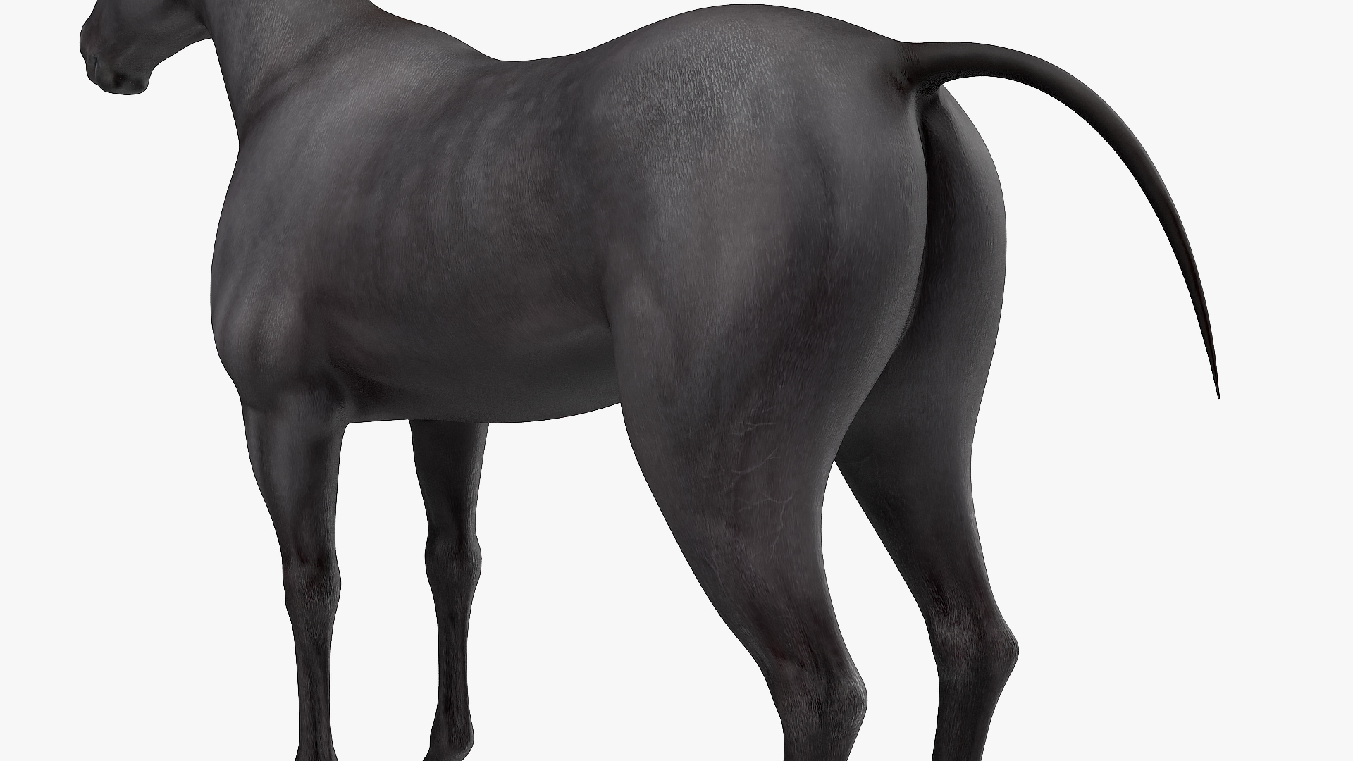 3D Horse Black