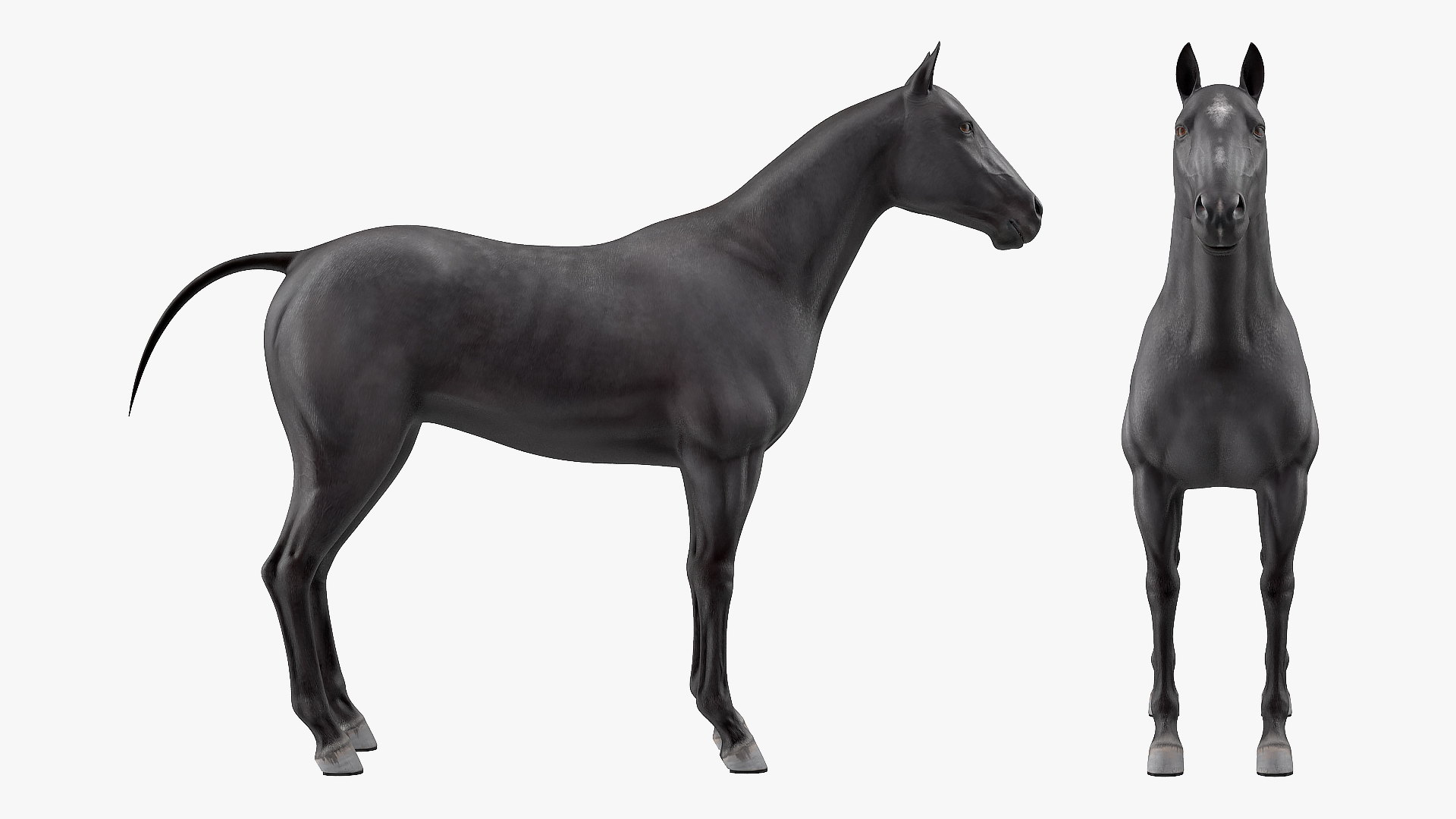 3D Horse Black