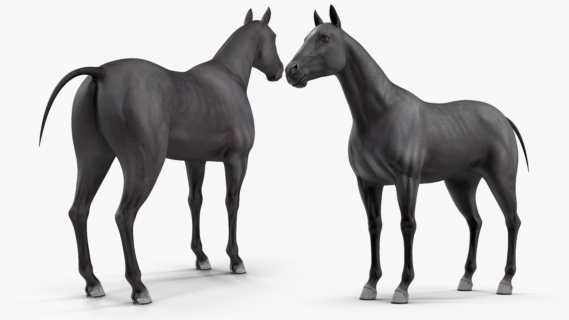 3D Horse Black