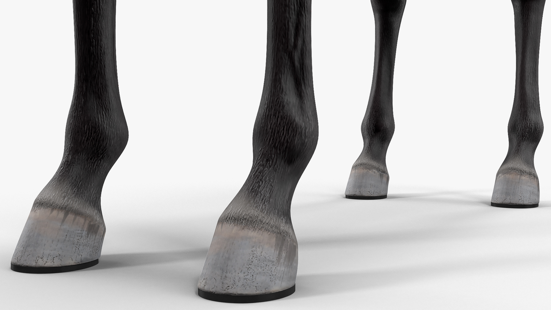 3D Horse Black