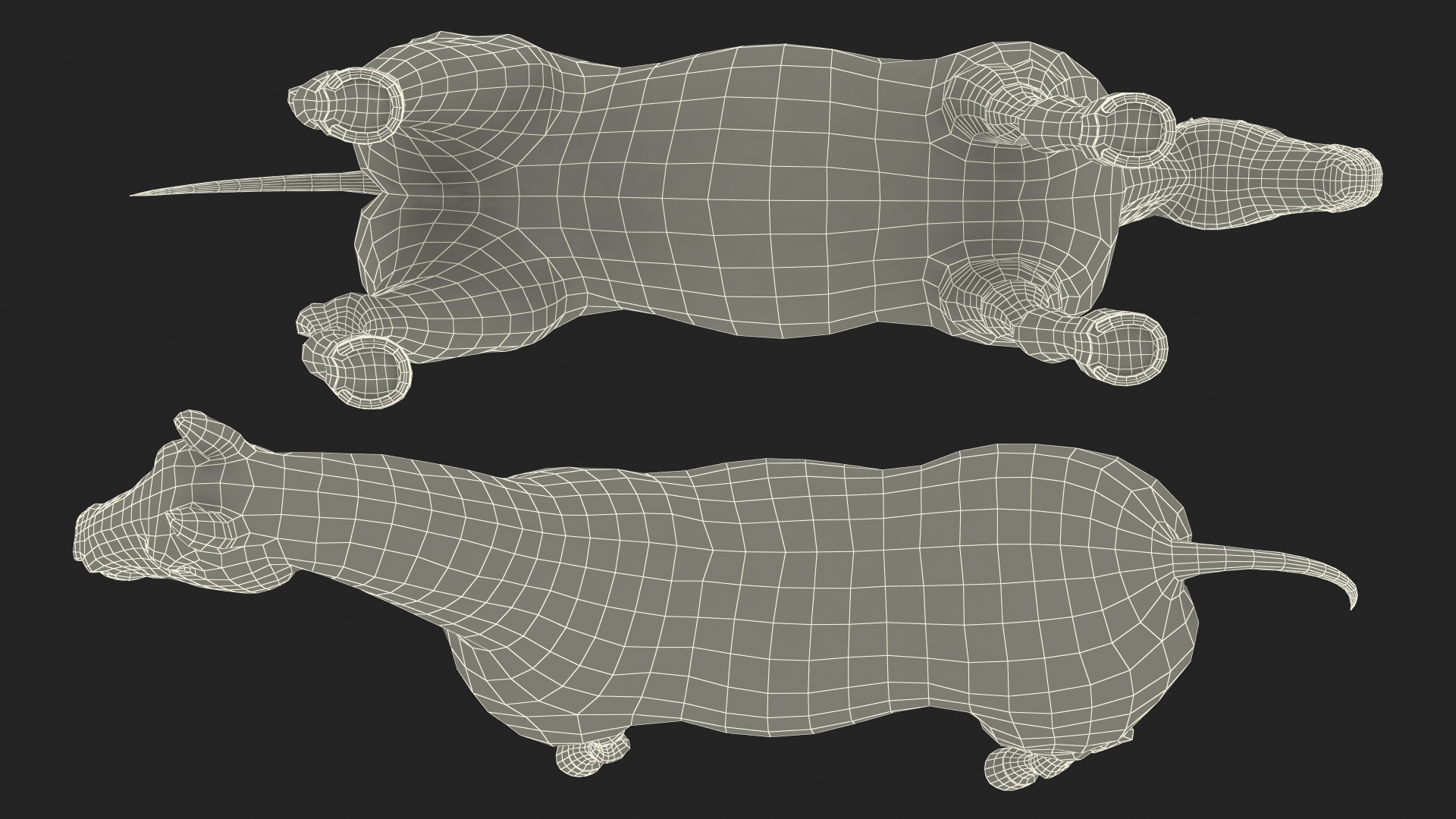 3D Horse Black