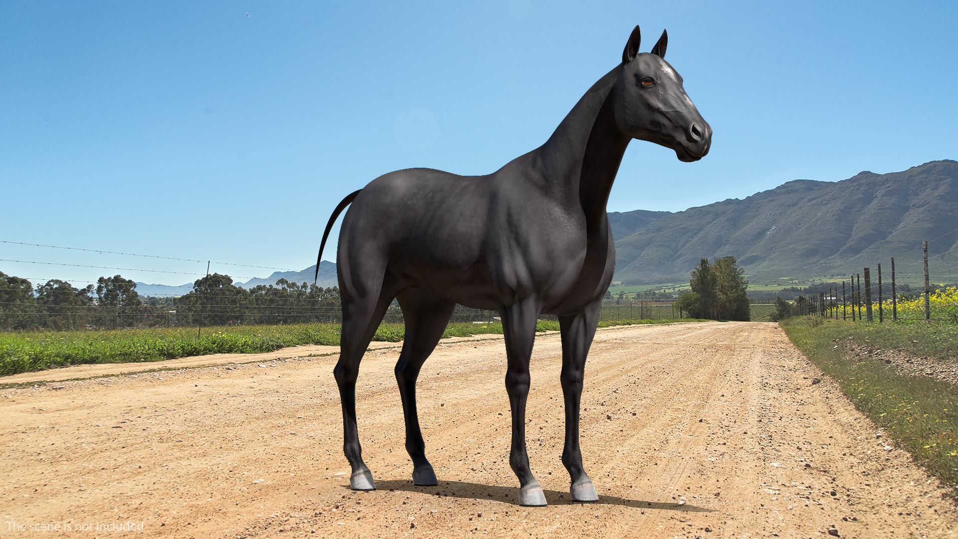 3D Horse Black