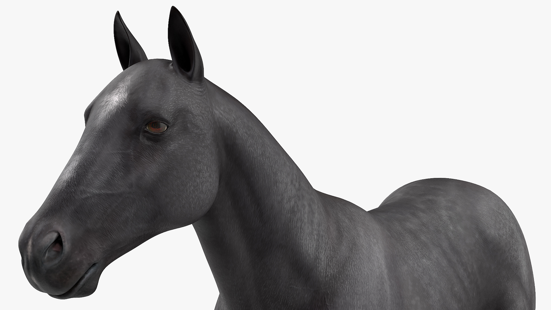 3D Horse Black