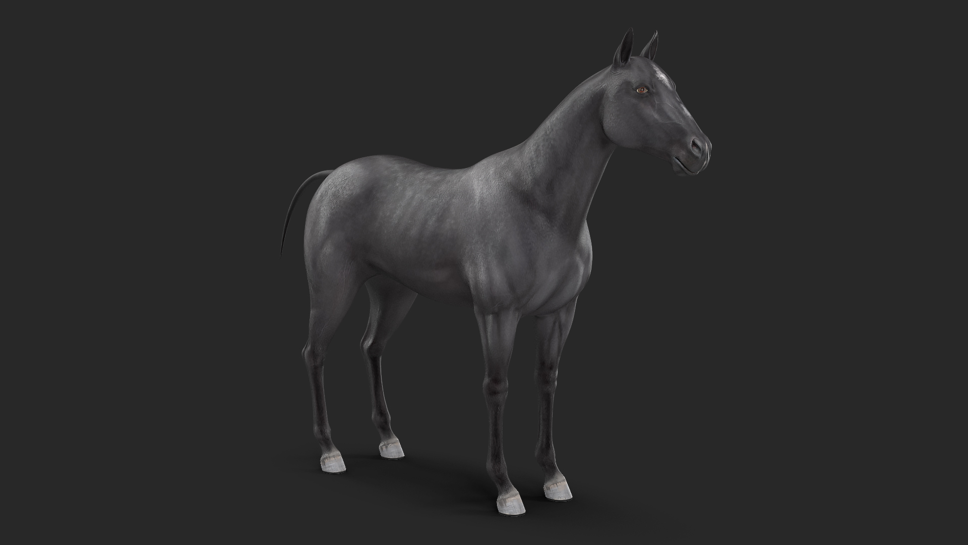 3D Horse Black