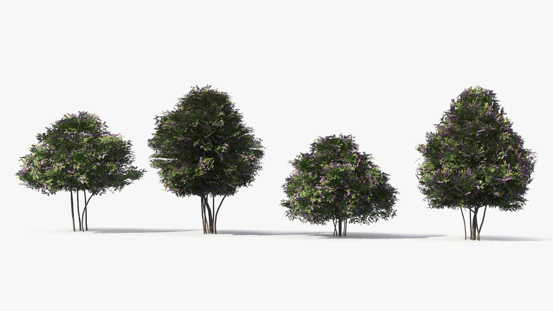 Low Poly Garden Lilac Shrub Set Purple Green