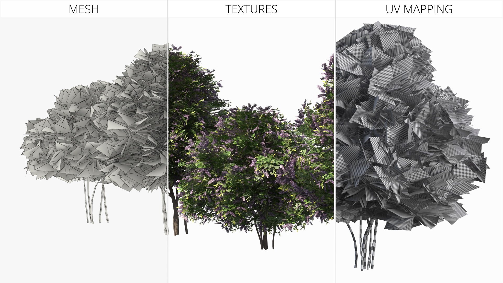 Low Poly Garden Lilac Shrub Set Purple Green, view 10