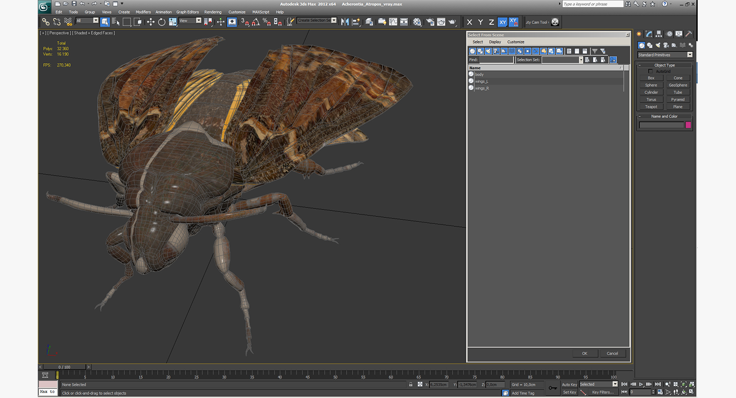 3D Acherontia Atropos model