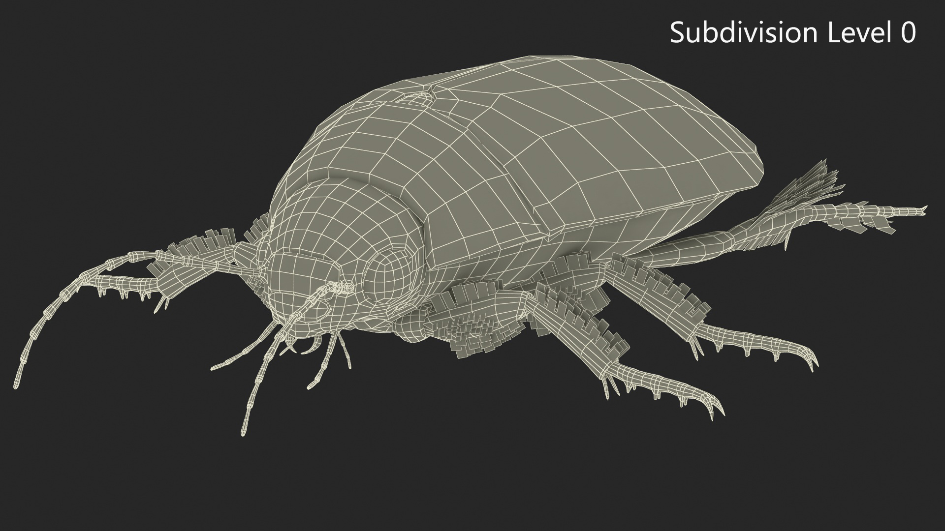 Squeak Beetle Black Realistic 3D model