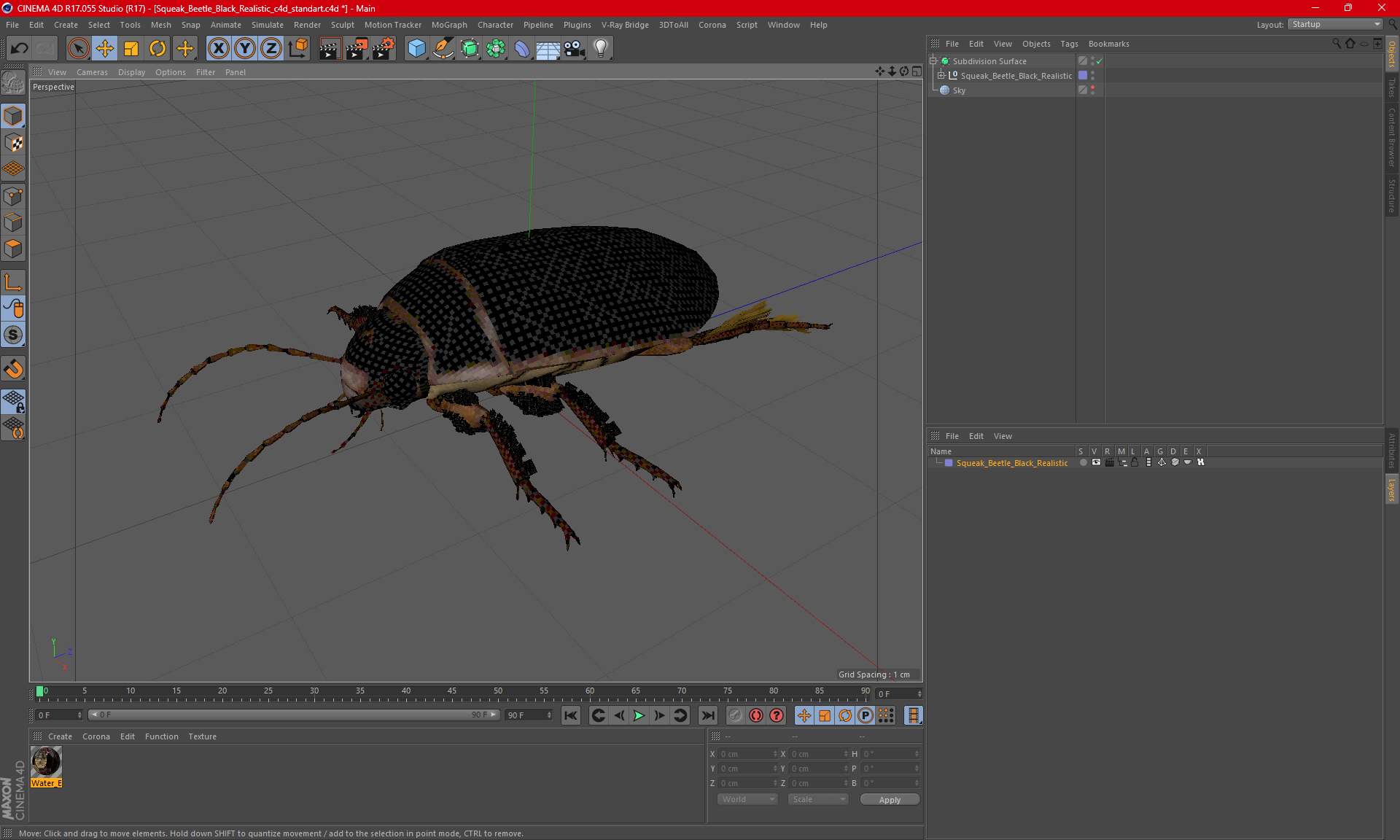 Squeak Beetle Black Realistic 3D model