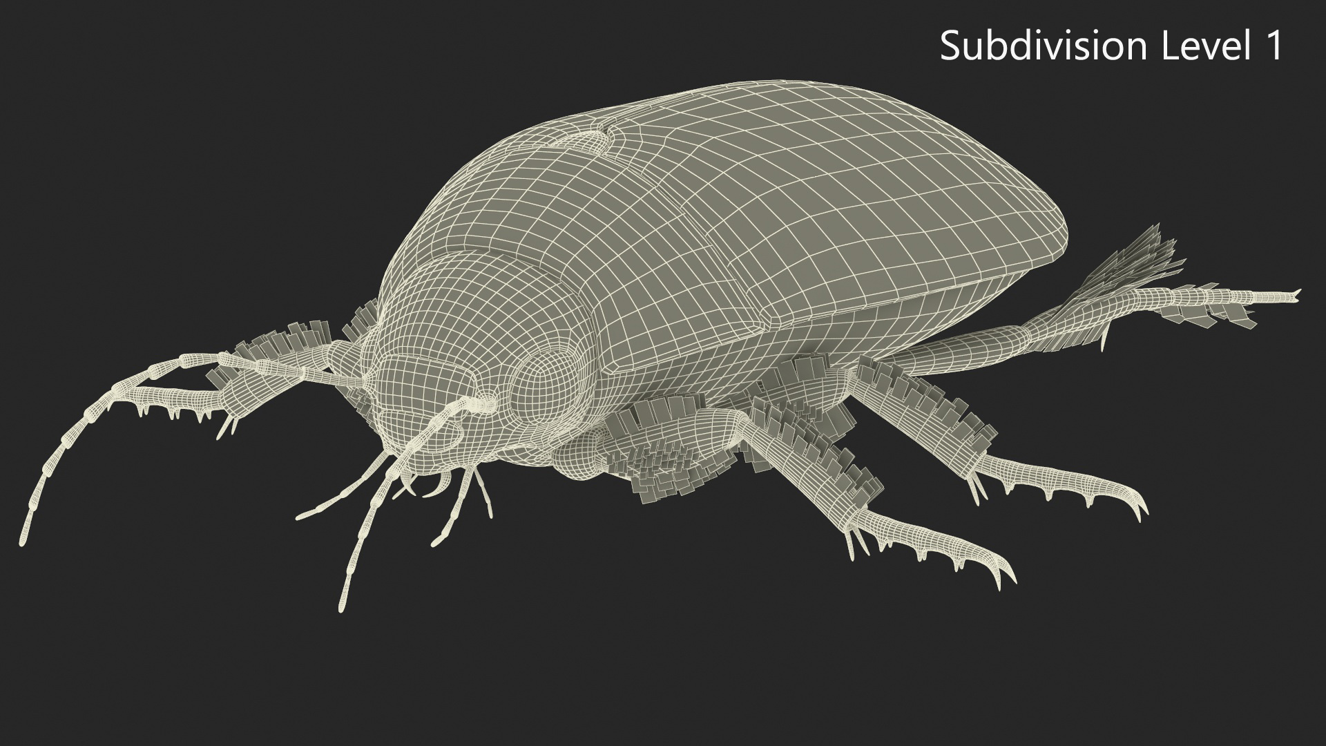 Squeak Beetle Black Realistic 3D model