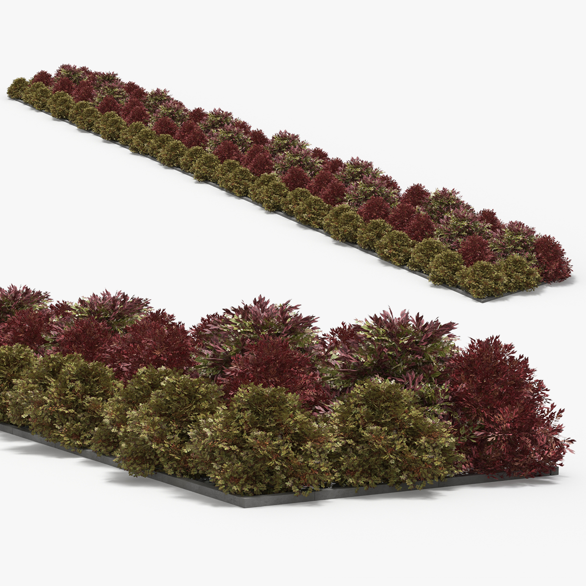 Low Poly Ornamental Shrubs Border Planting Multicolor 3D model preview