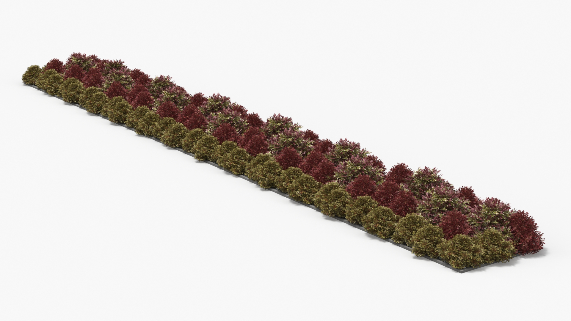 Low Poly Ornamental Shrubs Border Planting Multicolor - view 2