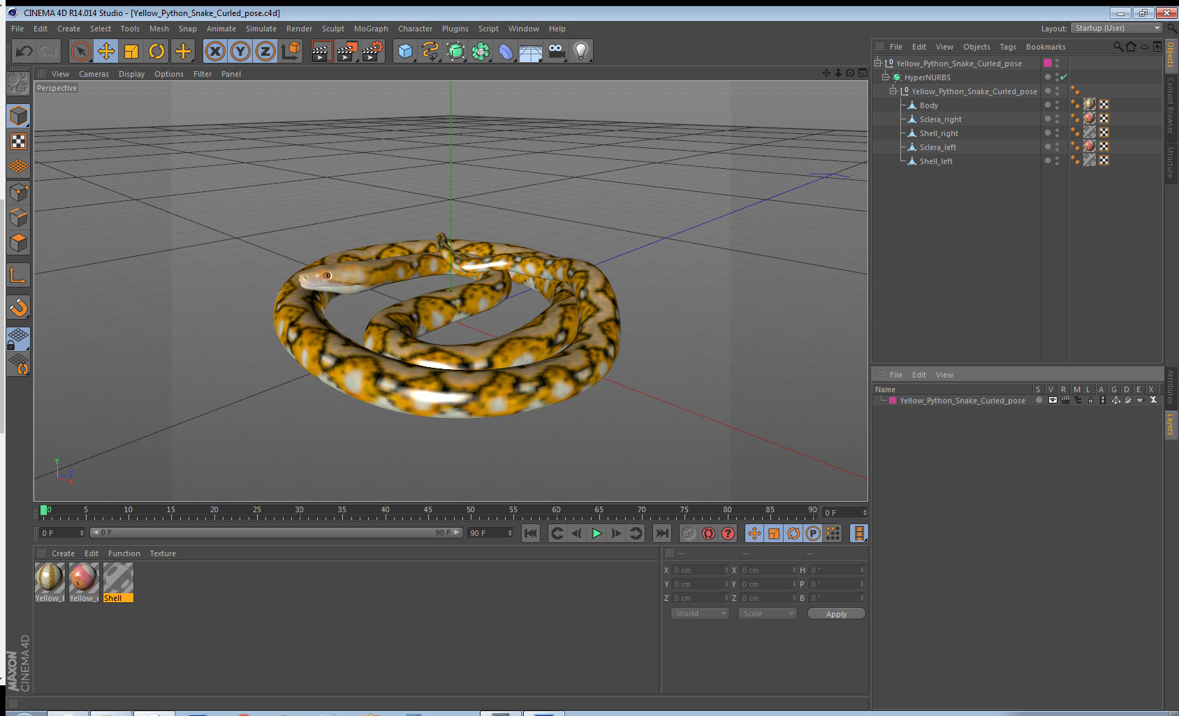 3D Yellow Python Snake Curled pose
