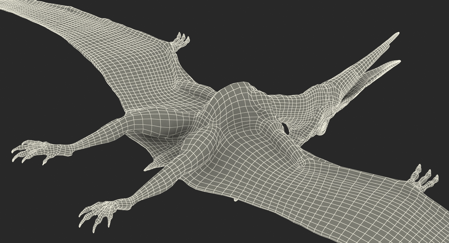 Pteranodon with Fur 3D model