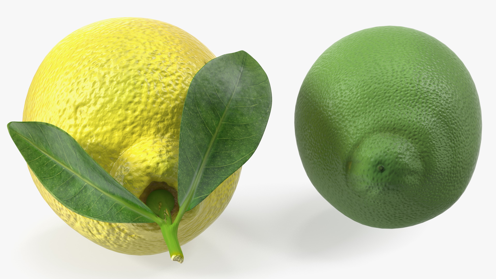Green and Yellow Lemon 3D