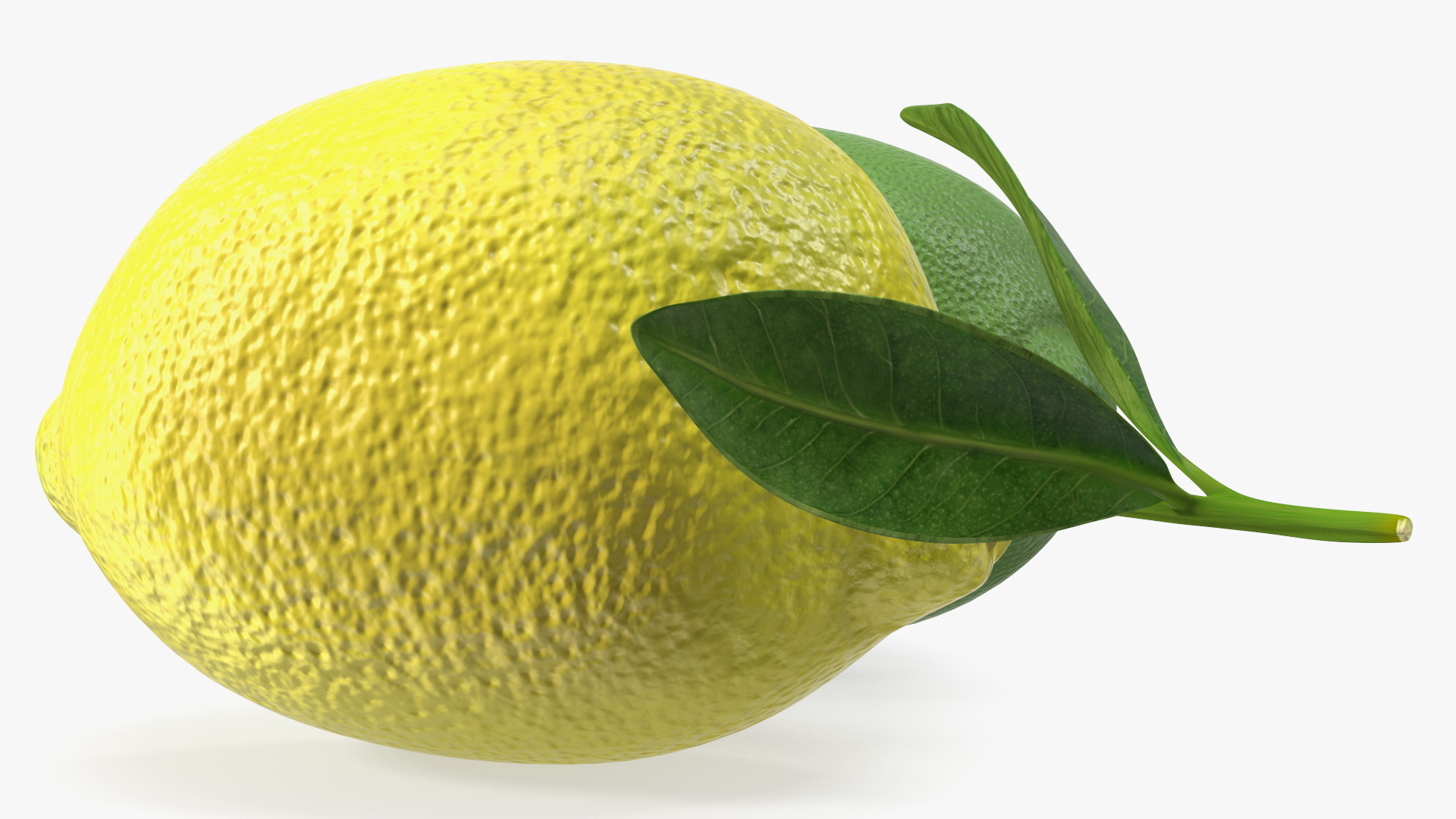 Green and Yellow Lemon 3D