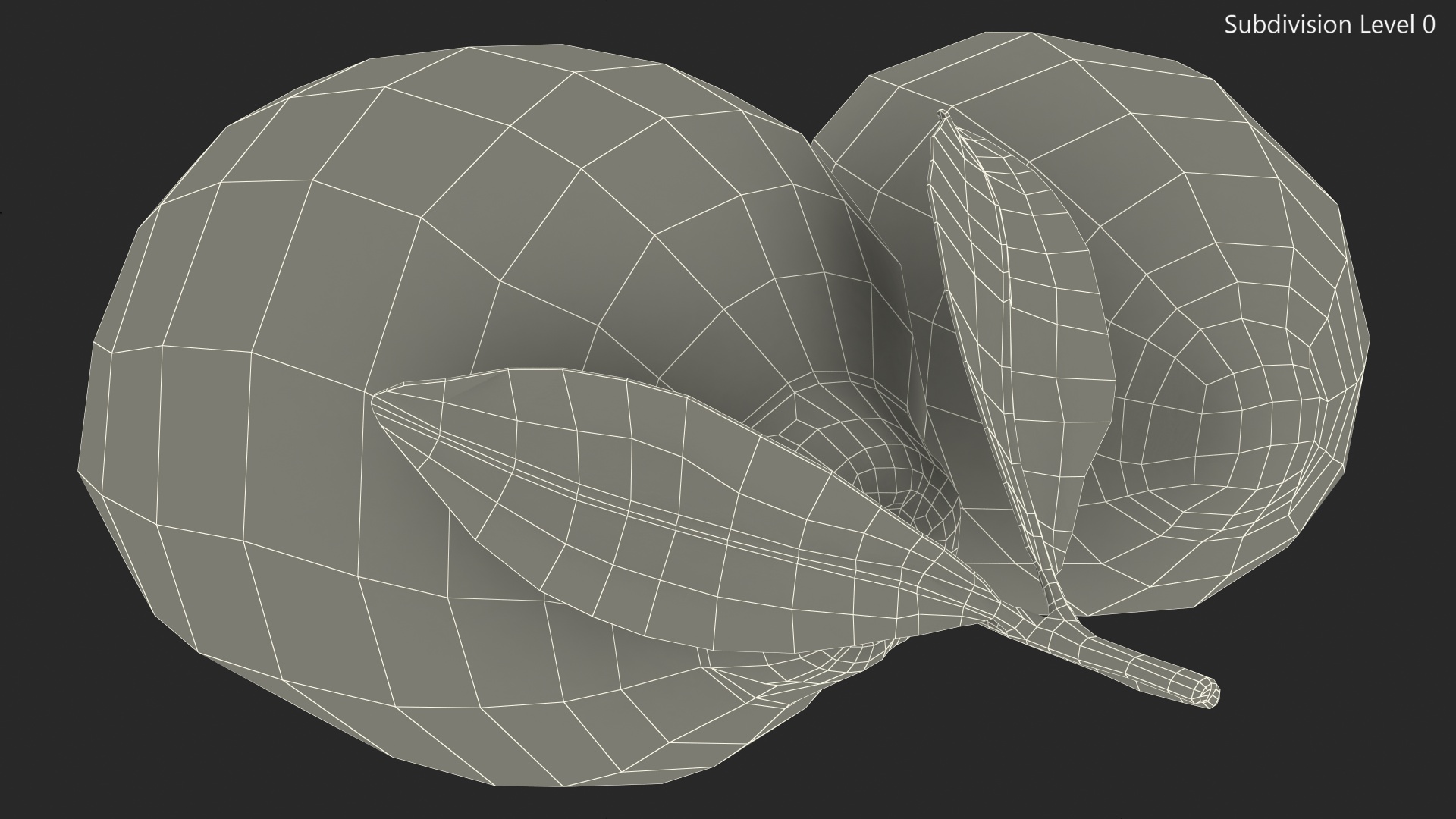 Green and Yellow Lemon 3D