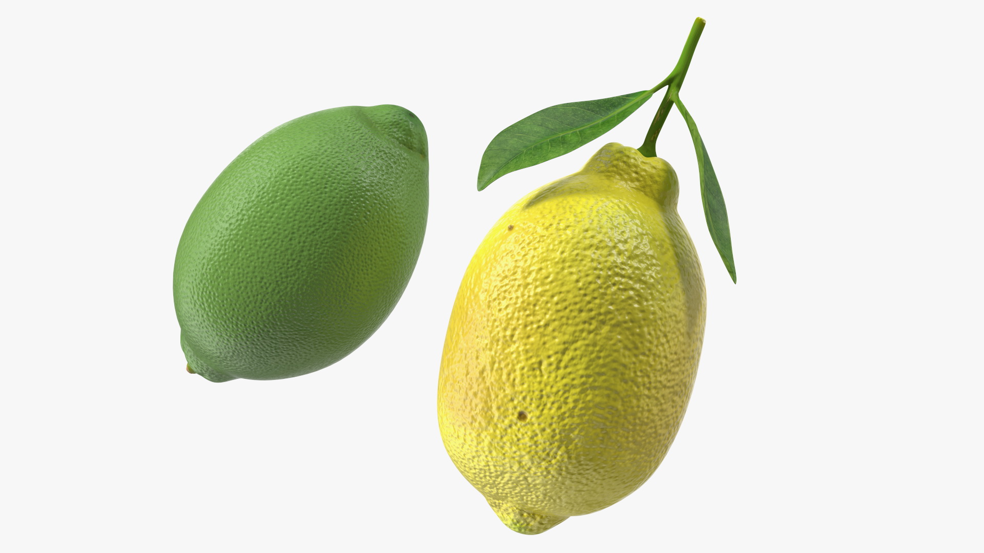 Green and Yellow Lemon 3D