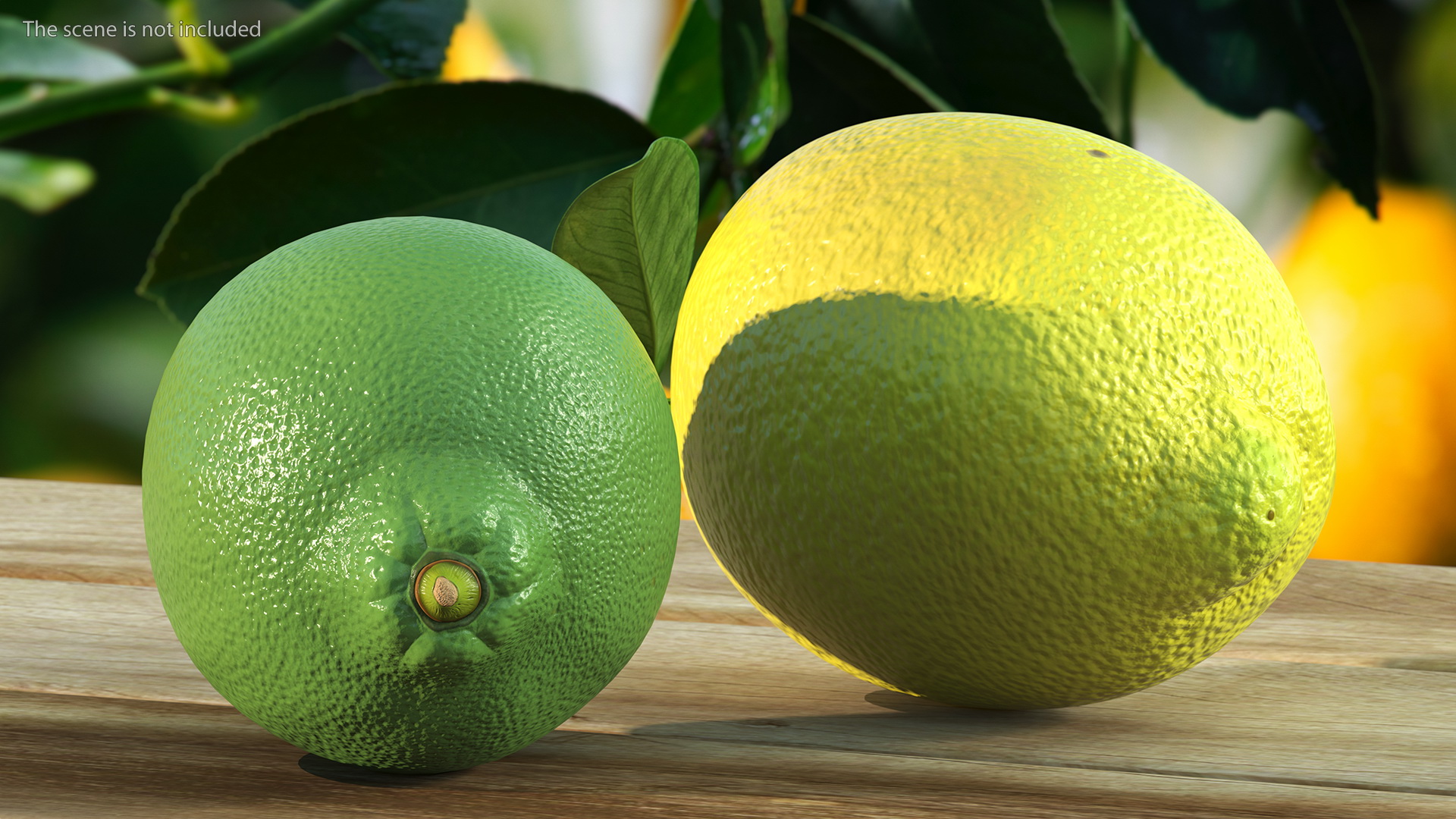 Green and Yellow Lemon 3D