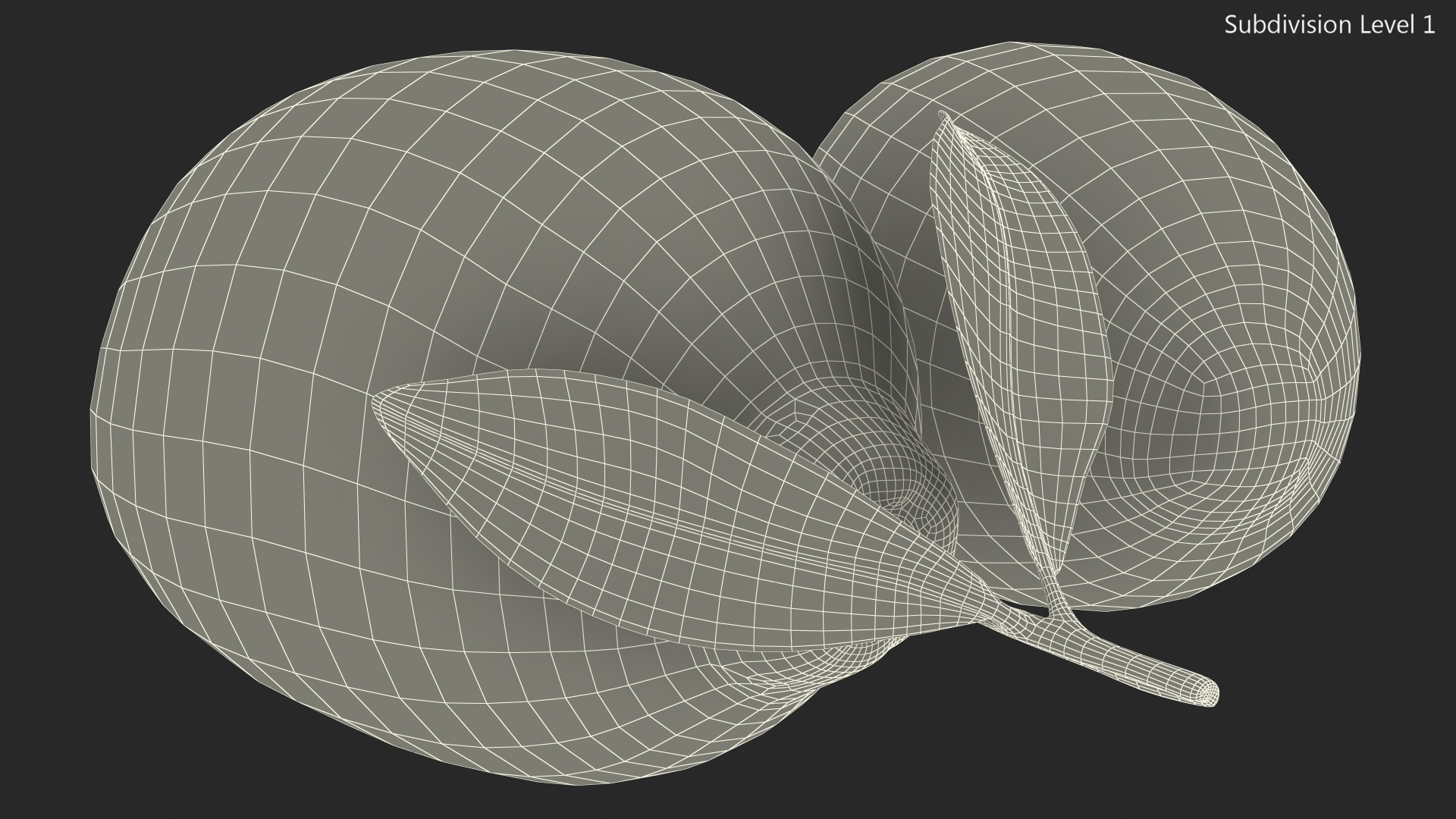 Green and Yellow Lemon 3D