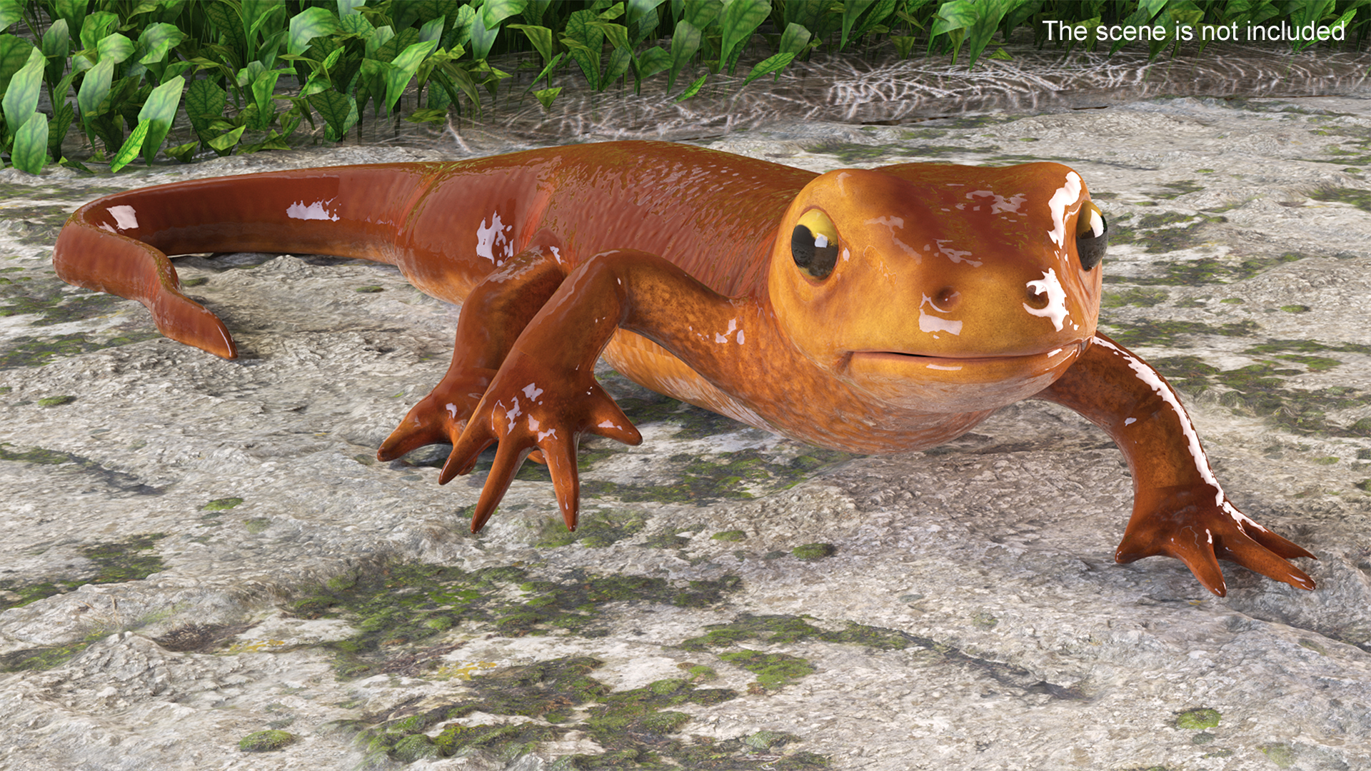 3D model Sierra Newt Crawling Pose