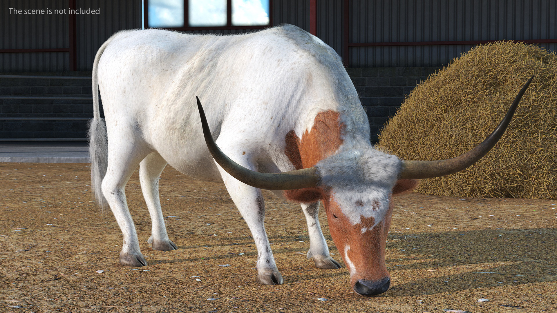 Texas Longhorn White Color Fur Rigged 3D