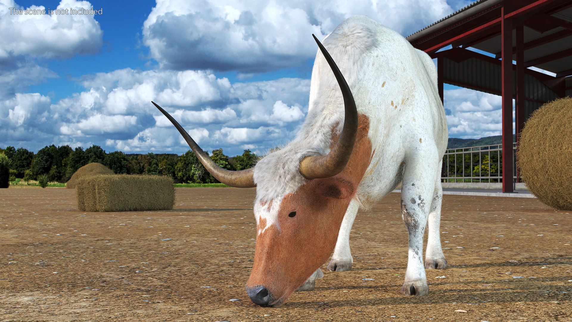 Texas Longhorn White Color Fur Rigged 3D