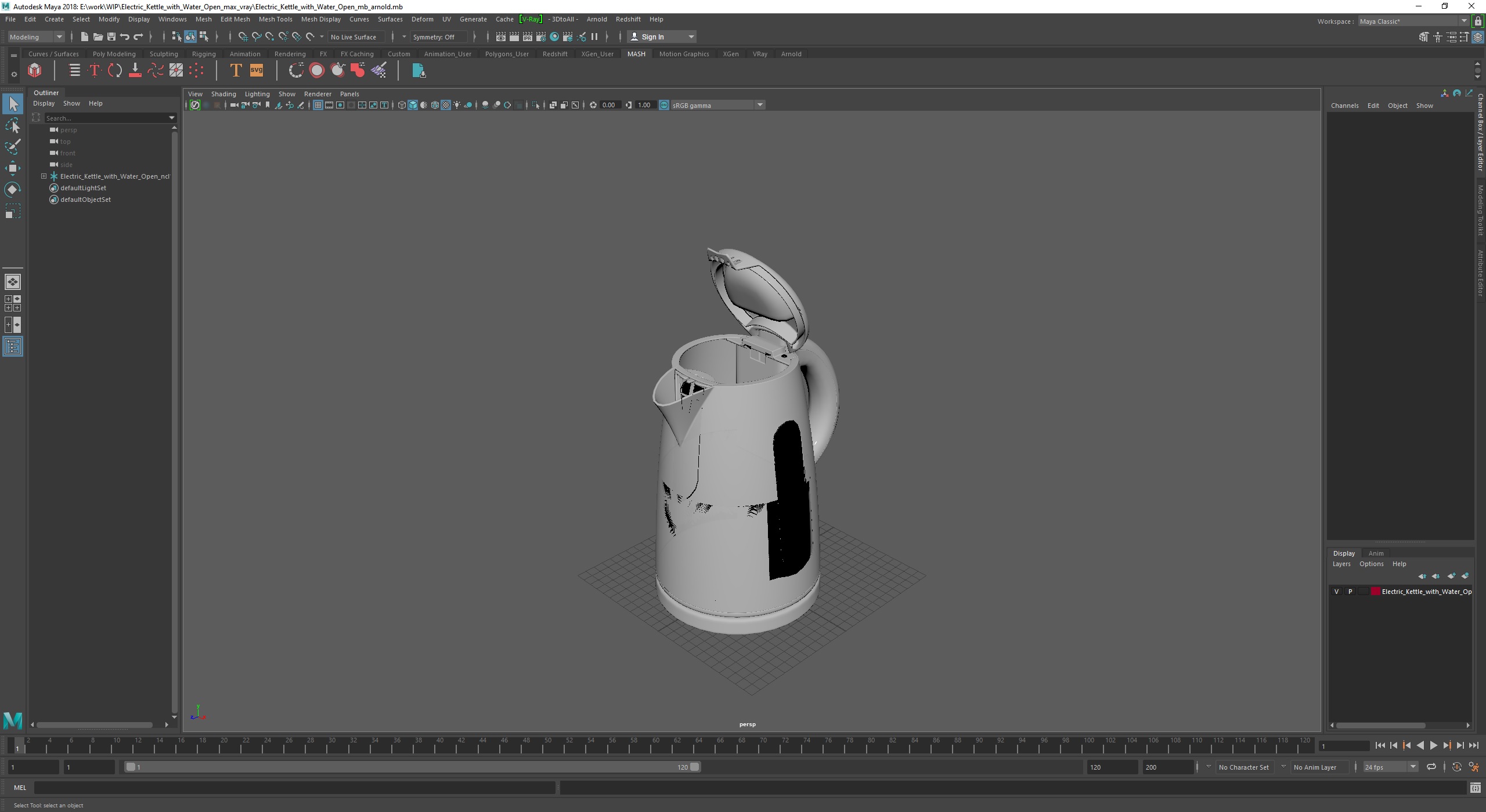 3D Electric Kettle with Water Open