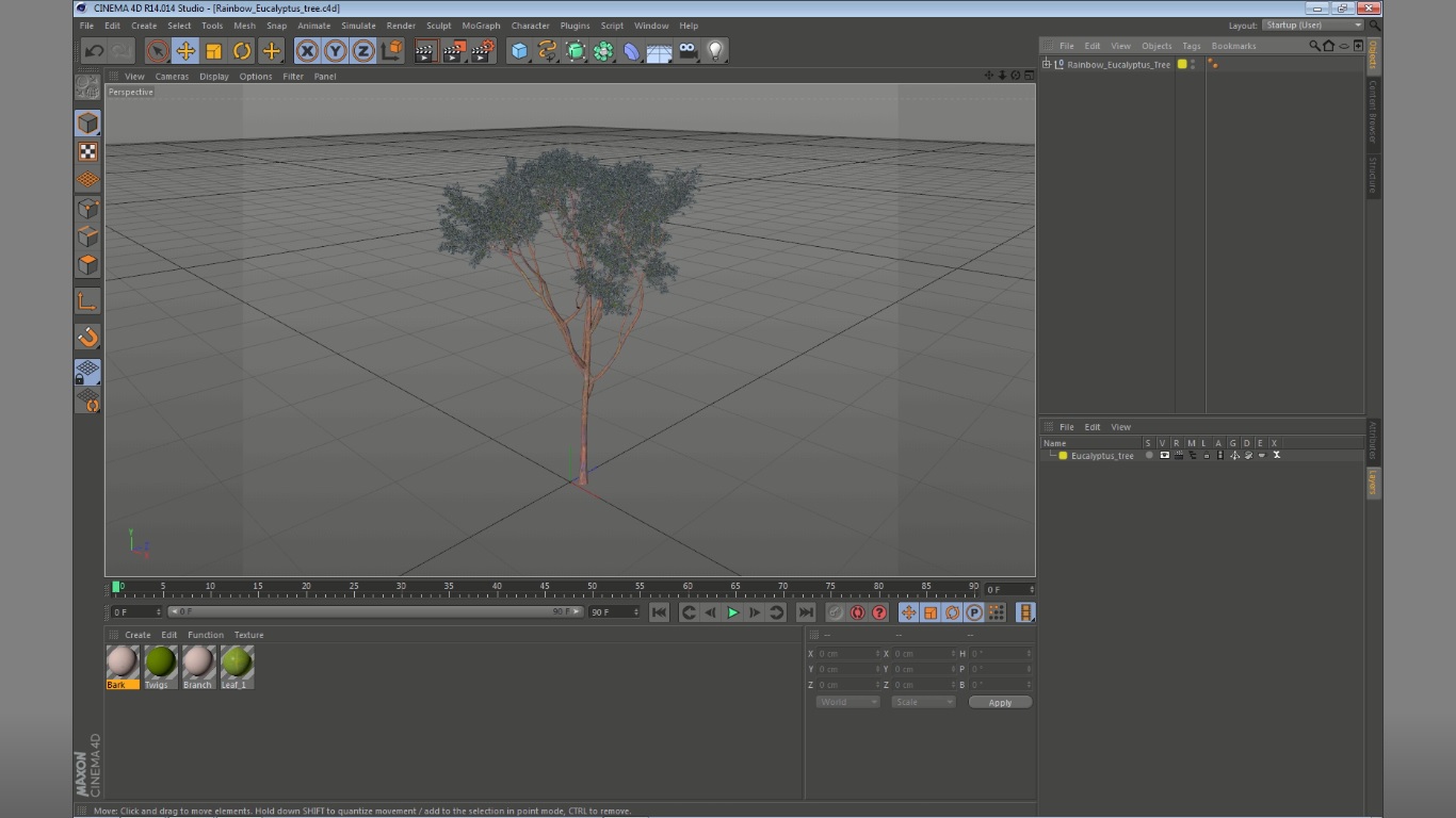 3D Rainbow Eucalyptus Tree model
