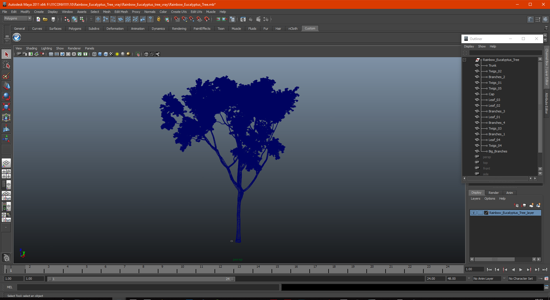 3D Rainbow Eucalyptus Tree model